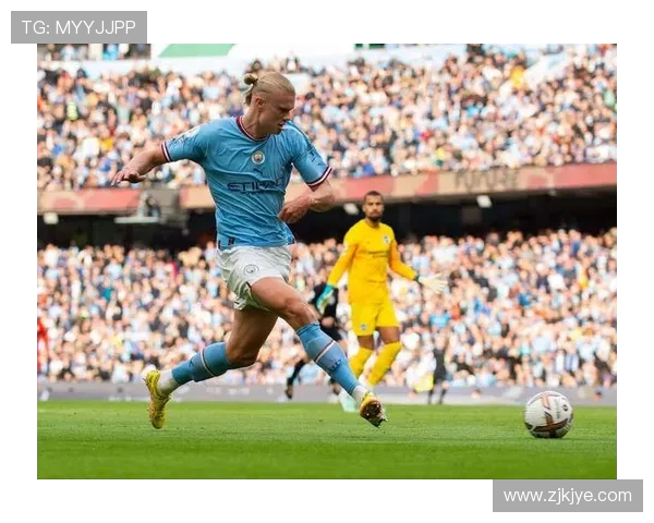 布莱顿两球胜小蜜蜂迭戈维尔贝克 布莱顿两球胜小蜜蜂迭戈维尔贝克